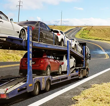 Budget-friendly open carrier shipping for dealers, fleets, and individuals.